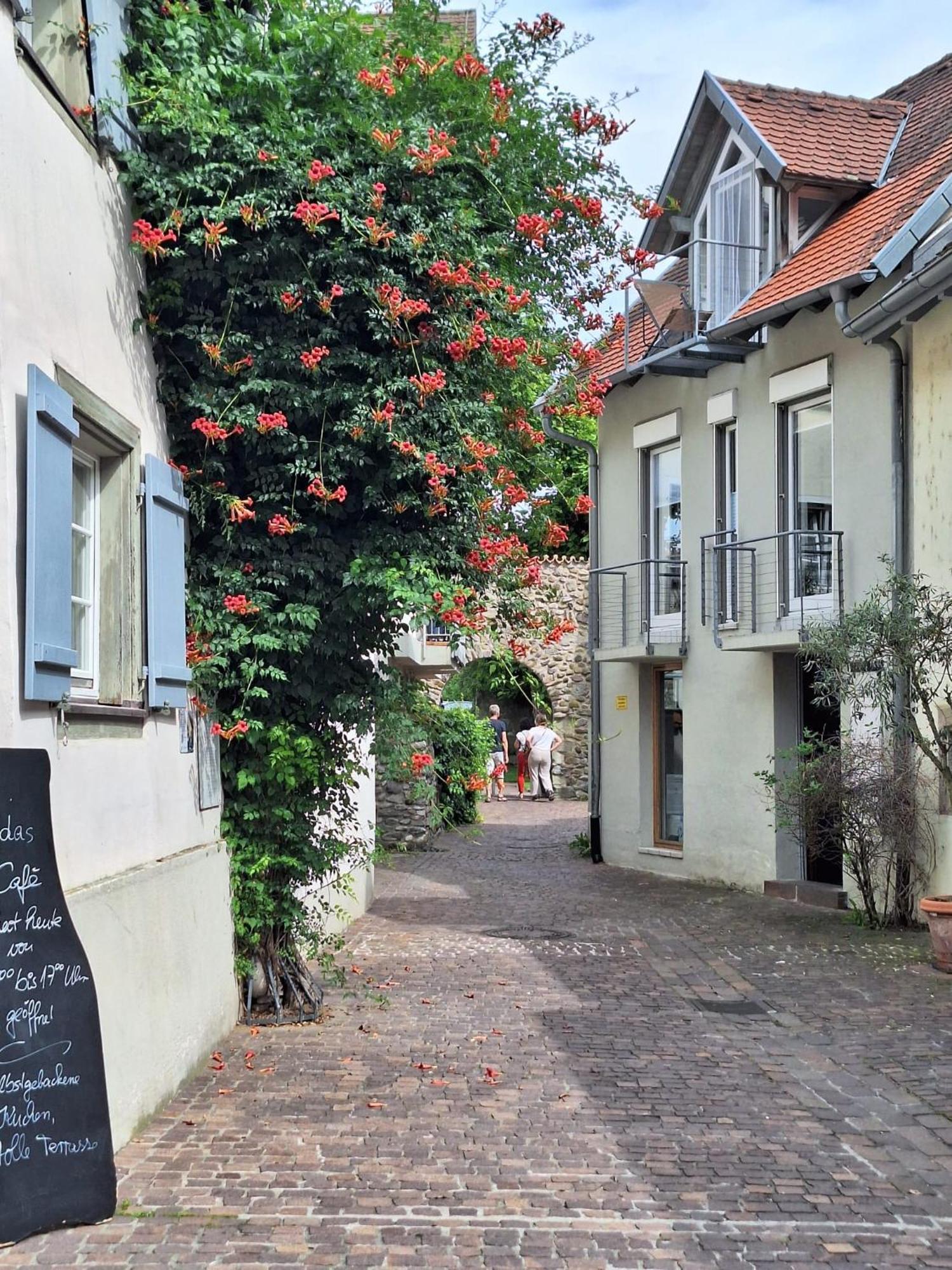 Ferienwohnung Ueberblick Radolfzell am Bodensee Exteriér fotografie